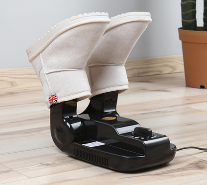 Multi-Function Shoe Dryer and Deodorizer